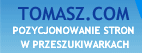 Promocja i pozycjonowanie w sieci